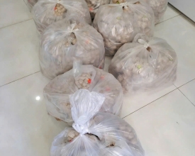 Tham khảo ngay địa chỉ chuyên cung cấp bò viên chất lượng cao cấp
