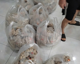 Nguồn cung sỉ bò viên món ăn đặc sản tại Sài Gòn chất lượng cao cấp