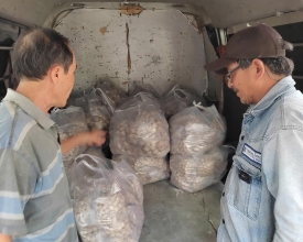 Tìm mua bò viên ngon chất lượng, hương vị truyền thống, đậm đà khó quên