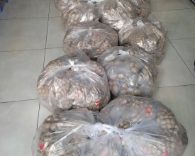 Điểm danh sản phẩm kinh doanh online chạy nhất hiện nay