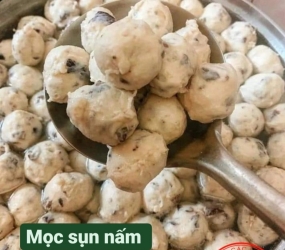 Mọc sụn nấm nguyên chất