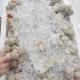 Đâu là địa chỉ chuyên cung cấp chả tép ngon sỉ TPHCM uy tín nhất?